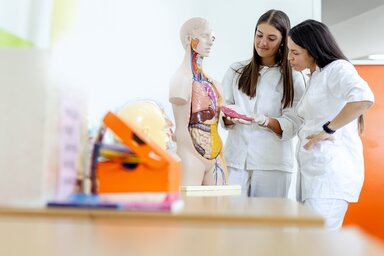 Deux étudiantes en blouse blanche examinent un mannequin anatomique aux organes apparents dans une salle de formation.