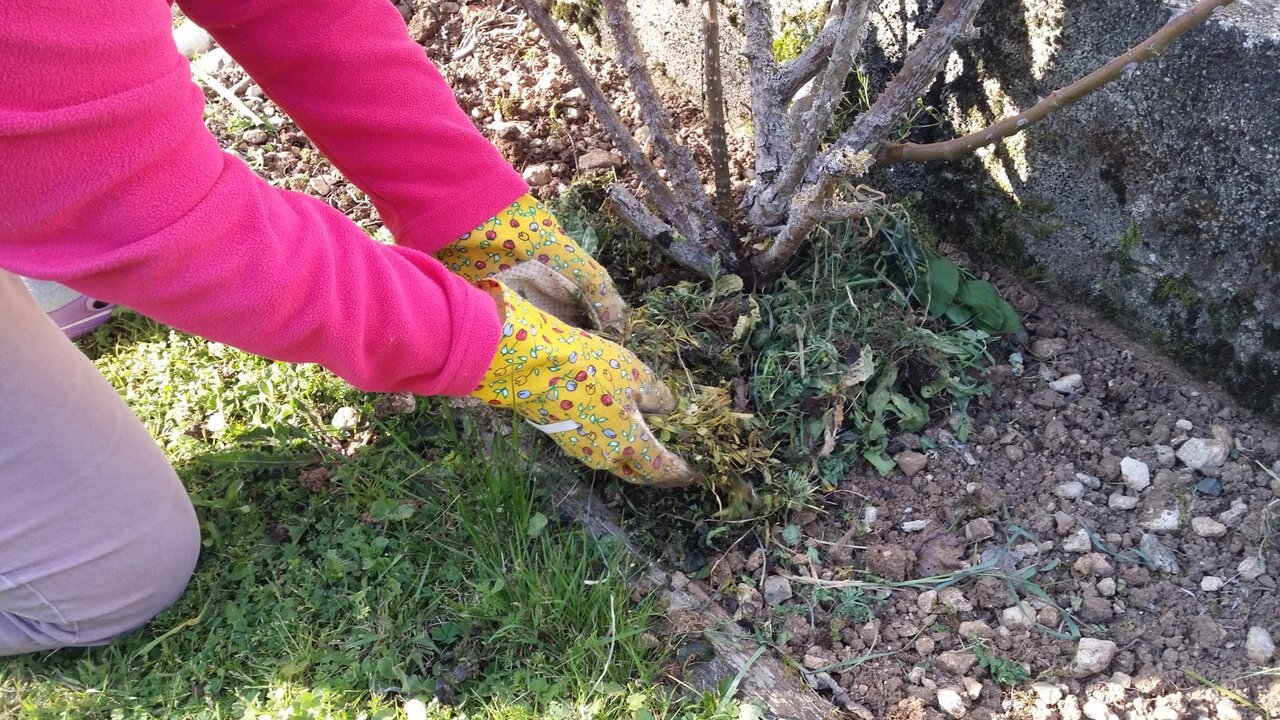 Paillage des espaces verts