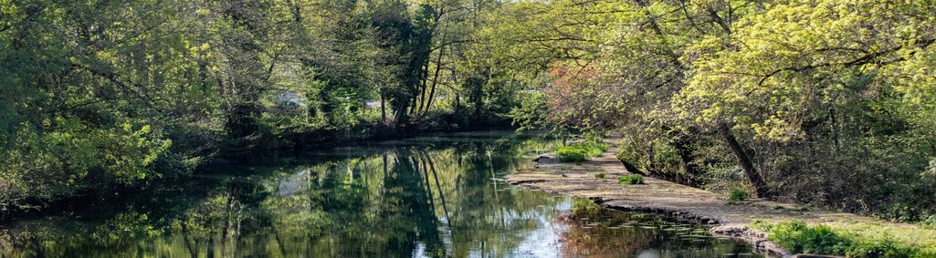 Arrêtés de restriction d'eau
