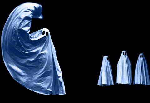 illustration de la manifestation 
