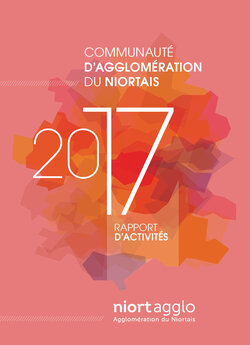 Rapport d'activité 2017