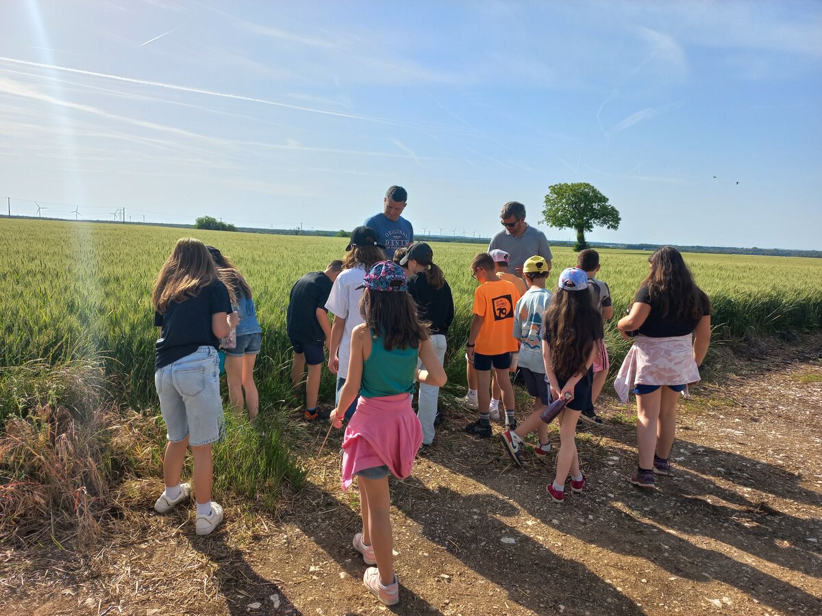 Projet Alimentaire Territorial : classe à la ferme