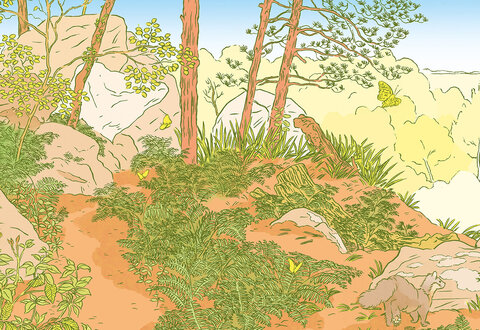 illustration de la manifestation 