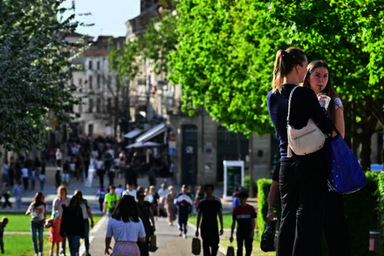Des visiteurs déambulent et échangent sur un boulevard arboré et animé en plein soleil