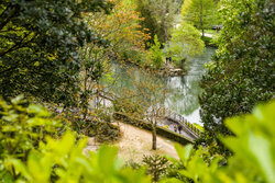 Patrimoine naturel et paysager Jardin des plantes