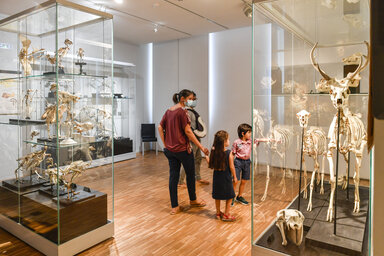 Journees du patrimoine au Musee Bernard d'Agesci