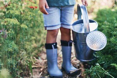 Animation nature. Adapter son jardin au changement climatique