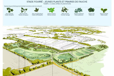 Simulation paysagère à 5 ans : espèces ligneuses, prairies de fauche et cheminements prévus sur la zone d'activité