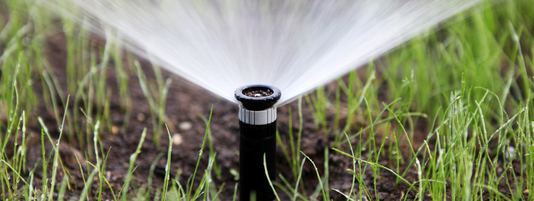 Tête d'arrosage automatique en fonctionnement, diffusant de l'eau en éventail sur une pelouse