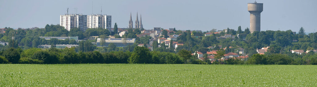 Paysage de plaine entre Niort, Echiré et Saint-Maxire