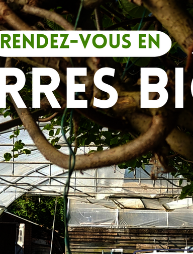 Rendez-vous en Terres Bio – Ferme ouverte au Potager Mignon