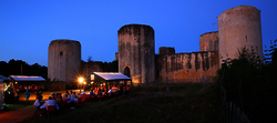 Patrimoine castral, fortifié ou militaire Château du Coudray Salbart 46.407125