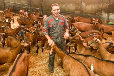 Sylvain Veillon au milieu de ses chèvres